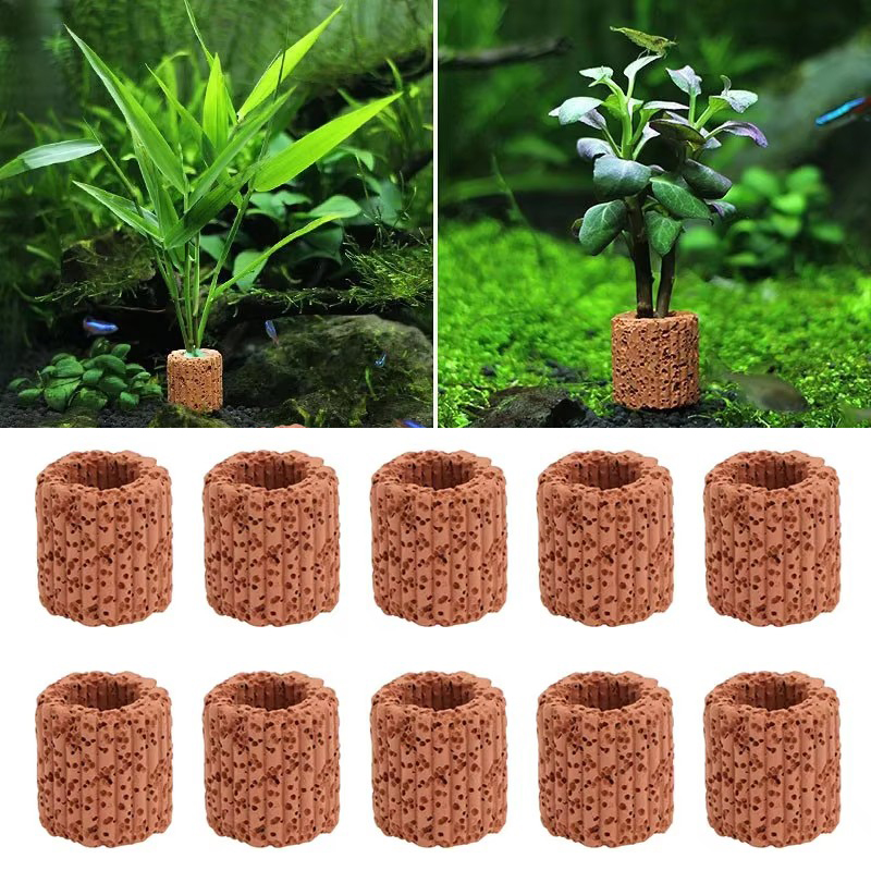 Aquarium Plant Live - حلقة ثابتة للنباتات المائية لحوض السمك