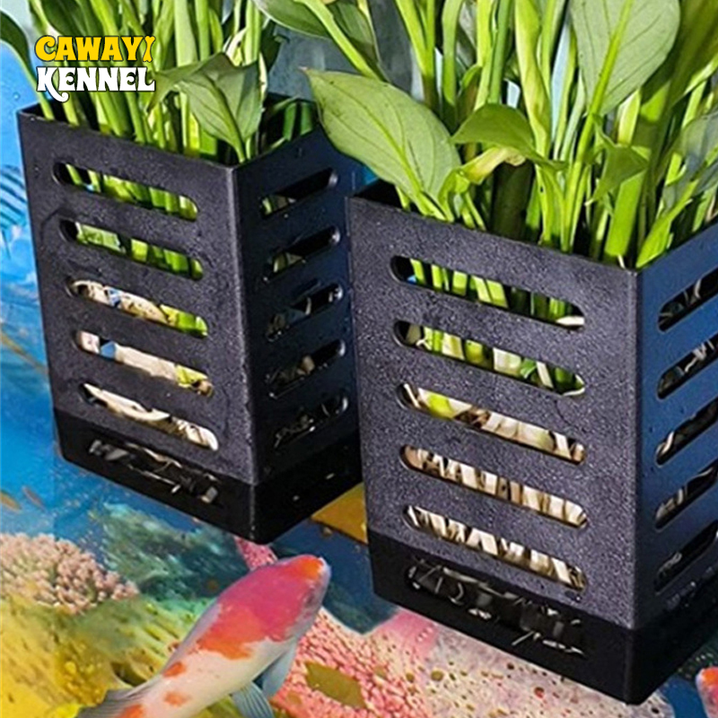 Aquarium Plant Live - الحيوانات الأليفة خزان الأسماك الزينة حوض