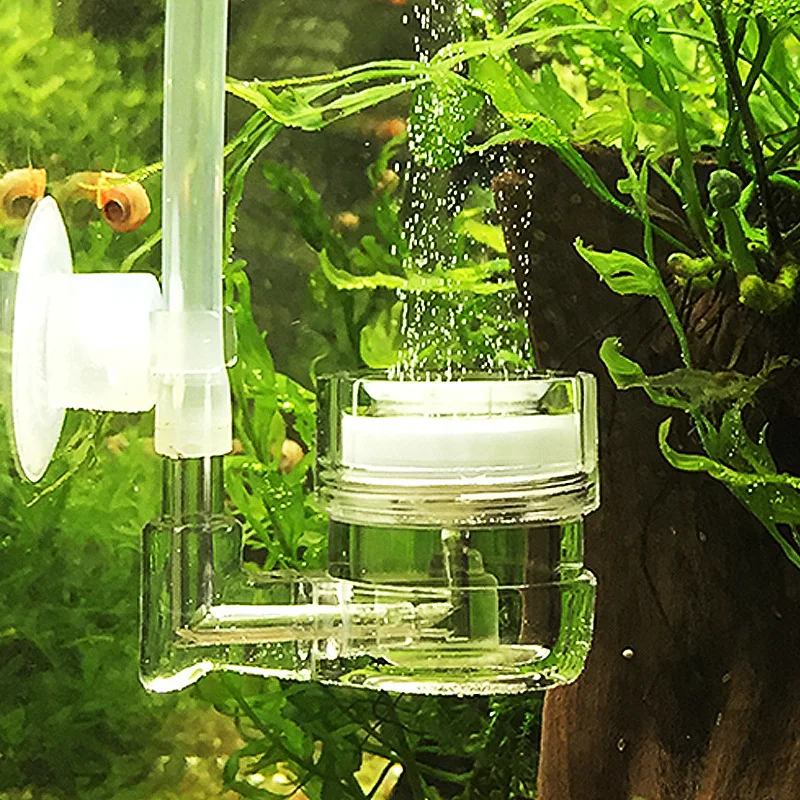Aquarium Plant Live - حوض السمك 4 في 1 CO2