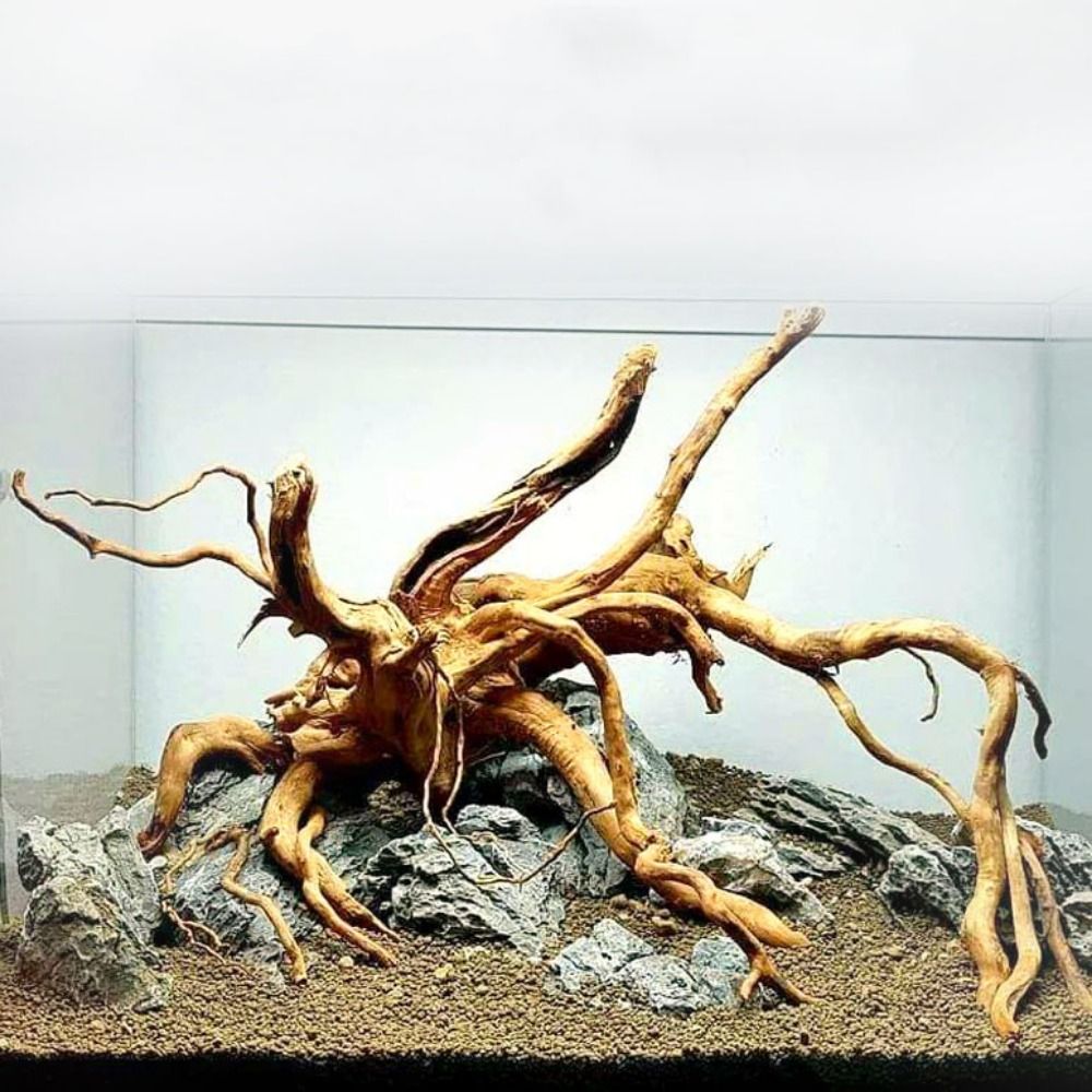 Aquarium Planted Tree - خشب عائم طبيعي كبير لحوض السمك