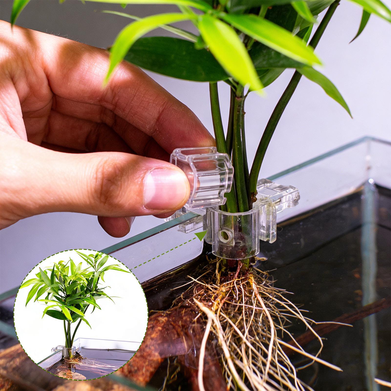 Aquarium Plant Live - 6 قطع حاملات نباتات للأحواض المائية،