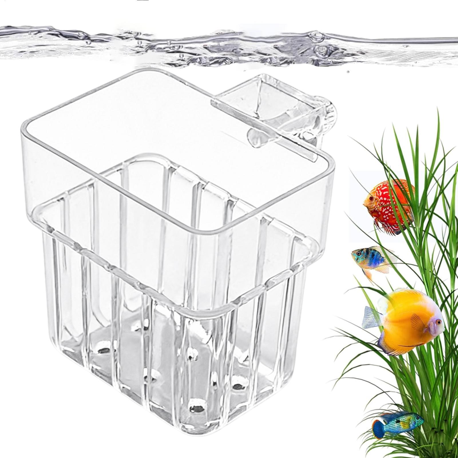 Aquarium Plant Live - حامل شفاف قابل للتعليق لأحواض السمك،