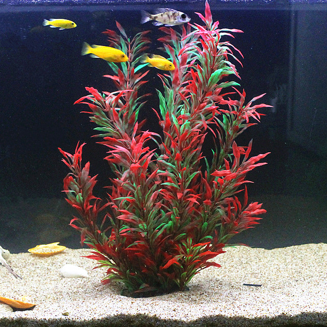 Aquarium Plant In Pot - نباتات اصطناعية نادرة لأحواض السمك بطول