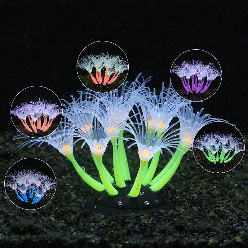 ديكور حوض السمك الاصطناعي المض - مراجعة Aquarium Plant Live وسعره
