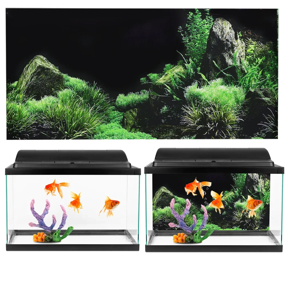 خلفية ل حوض السمك ملصق ثلاثية  - مراجعة Planted Aquarium Aquascape وسعره