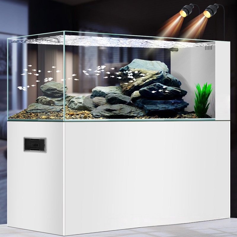 2026 خزانة حوض أسماك بتصميم بس - مراجعة Planted Aquarium Aquascape وسعره