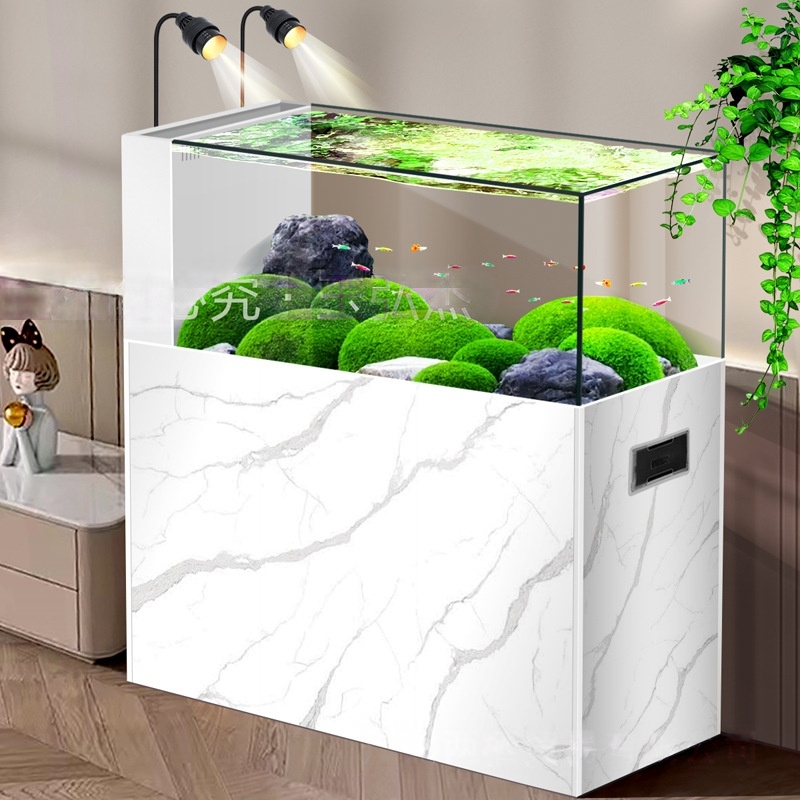 2026 خزانة حوض أسماك بتصميم بس - مراجعة Planted Aquarium Aquascape وسعره