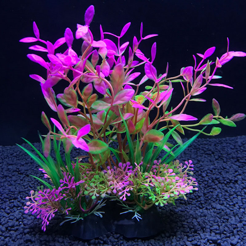 ديكور حوض السمك مجموعة متنوعة  - مراجعة Aquarium Plant Varieties وسعره