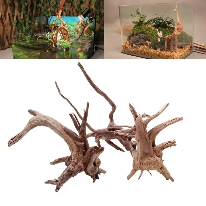 شجرة طبيعية جذع Driftwood لحوض - مراجعة Aquarium Planted Tree وسعره