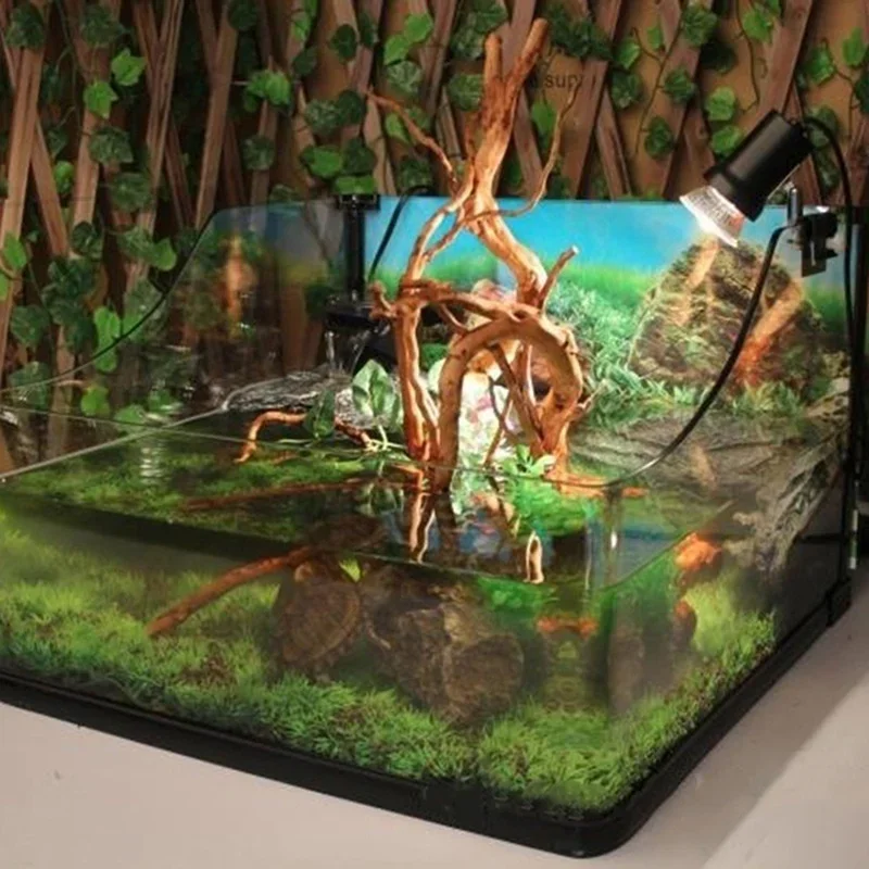 شجرة طبيعية جذع Driftwood لحوض - مراجعة Aquarium Planted Tree وسعره