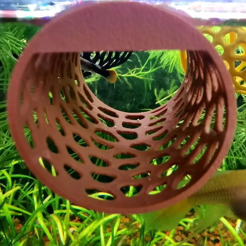 نفق عائم للبيتا، بيت للروبيان، - مراجعة Aquarium Plant Live وسعره
