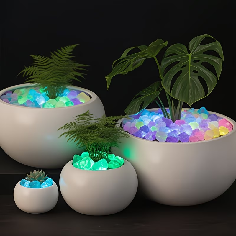مجموعة 300 قطعة من الحصى المضي - مراجعة Aquarium Plant In Pot وسعره