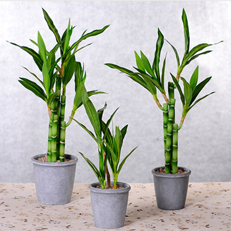 جديد 40 سنتيمتر rFtificial محظ - مراجعة Aquarium Plant In Pot وسعره