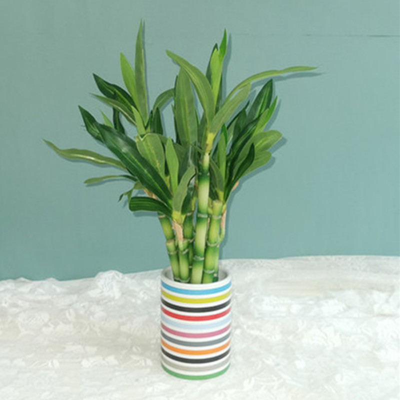 جديد 40 سنتيمتر rFtificial محظ - مراجعة Aquarium Plant In Pot وسعره