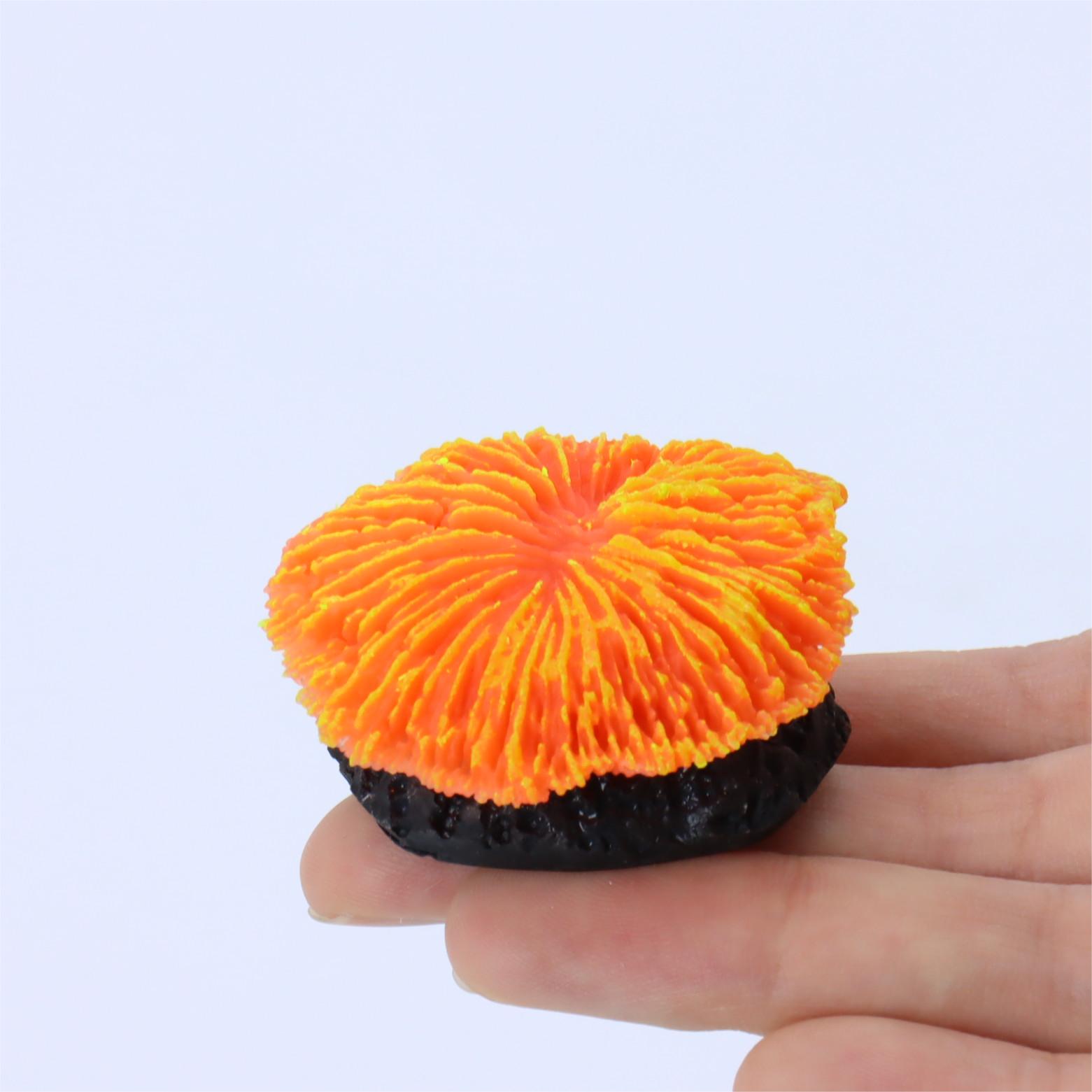 1 piece aquarium decoration sa - مراجعة Aquarium Plant Live وسعره