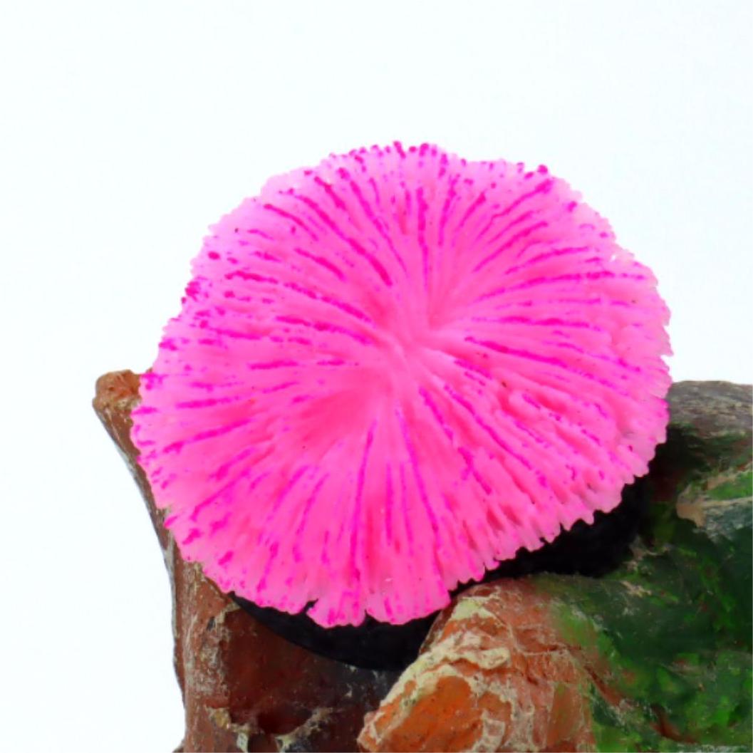 1 piece aquarium decoration sa - مراجعة Aquarium Plant Live وسعره