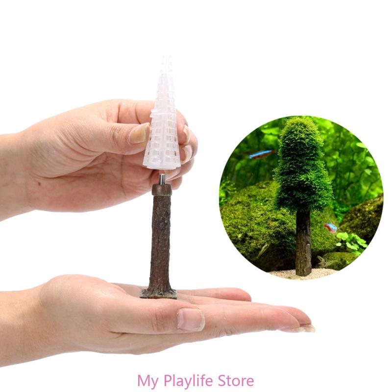زينة طحلب حوض أسماك ، حامل نبا - مراجعة Aquarium Planted Tree وسعره