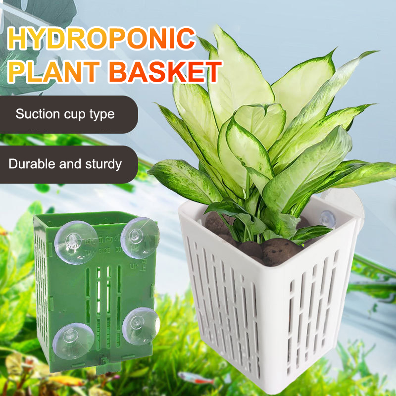 معلقة شفط كأس هوك حامل نبات حو - مراجعة Planted Aquarium Aquascape وسعره