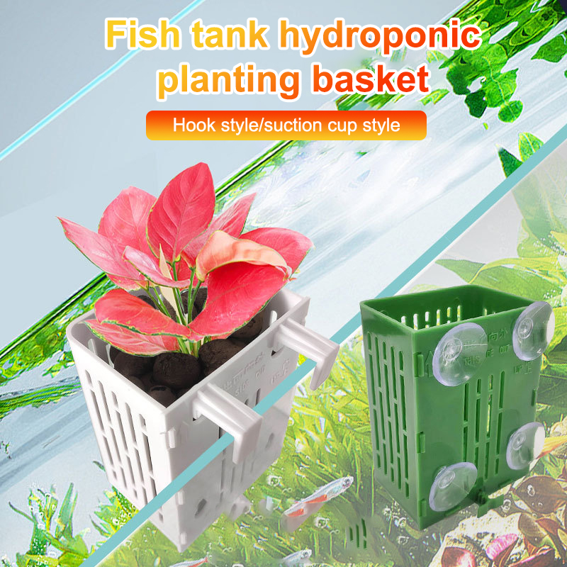 معلقة شفط كأس هوك حامل نبات حو - مراجعة Planted Aquarium Aquascape وسعره