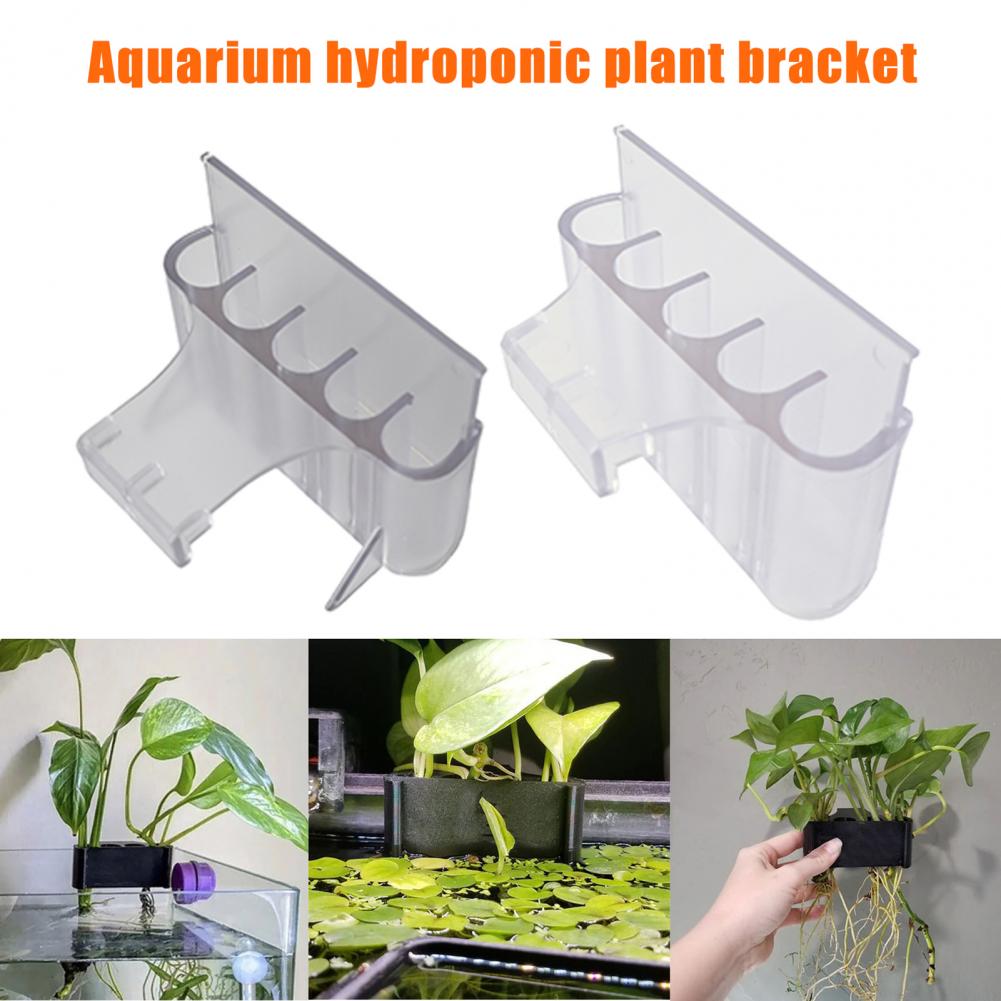 4.5/6.5 سنتيمتر حامل نبات حوض  - مراجعة Aquarium Plant In Pot وسعره
