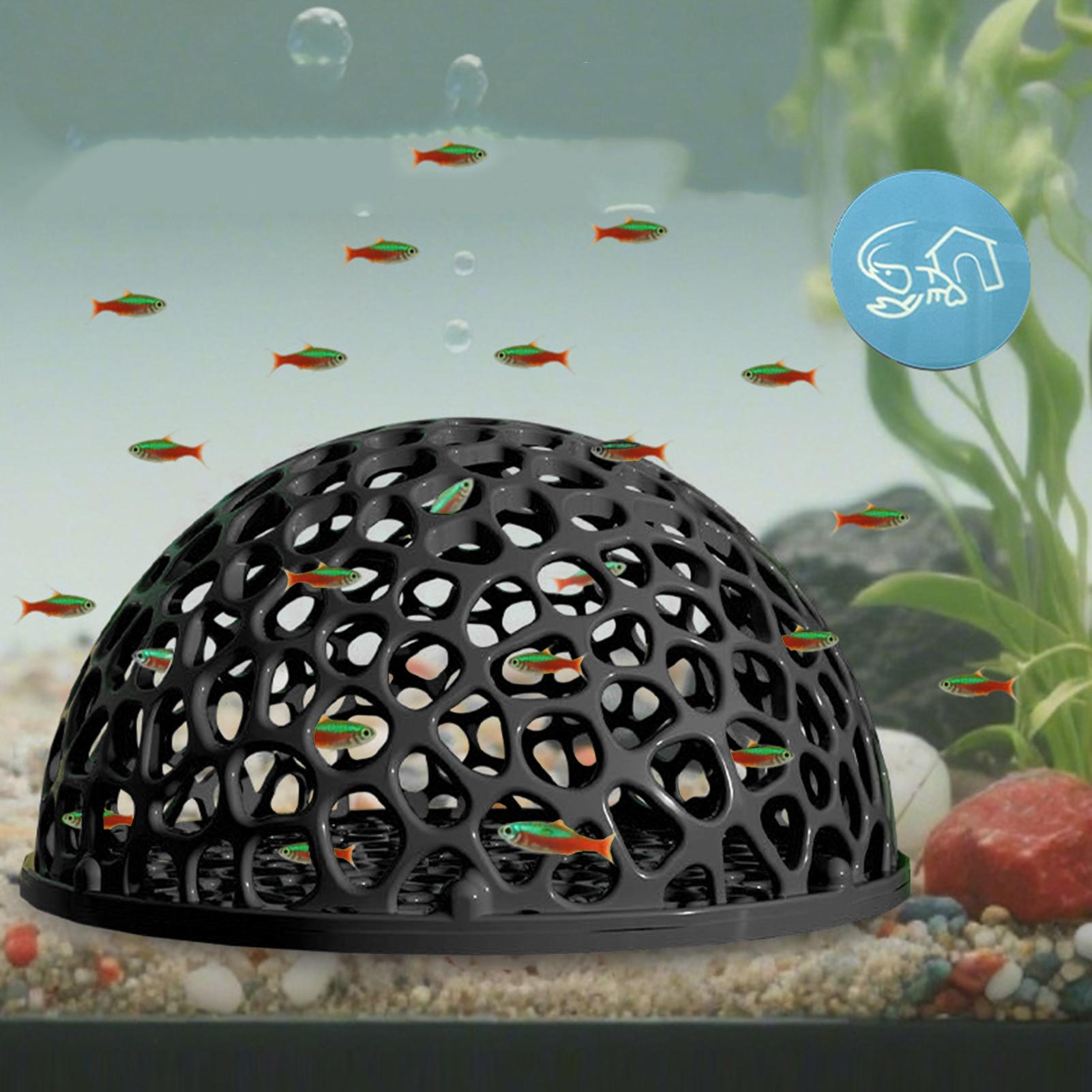 مأوى كهف مخفي لحوض السمك لتربي - مراجعة Aquarium Plant Live وسعره