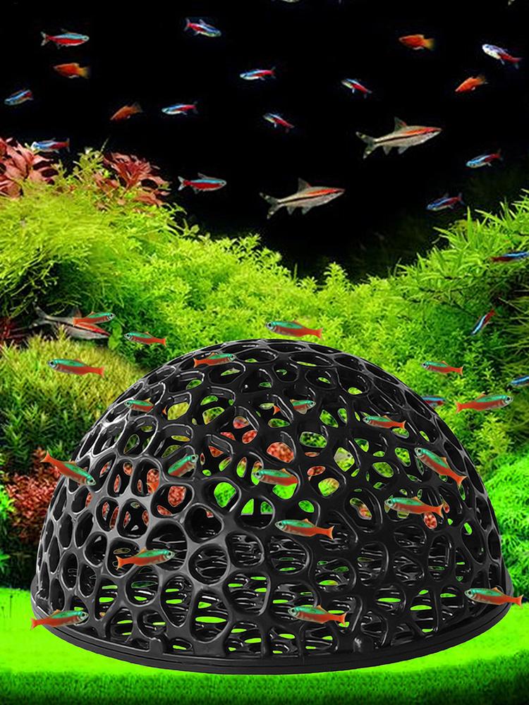 مأوى كهف مخفي لحوض السمك لتربي - مراجعة Aquarium Plant Live وسعره