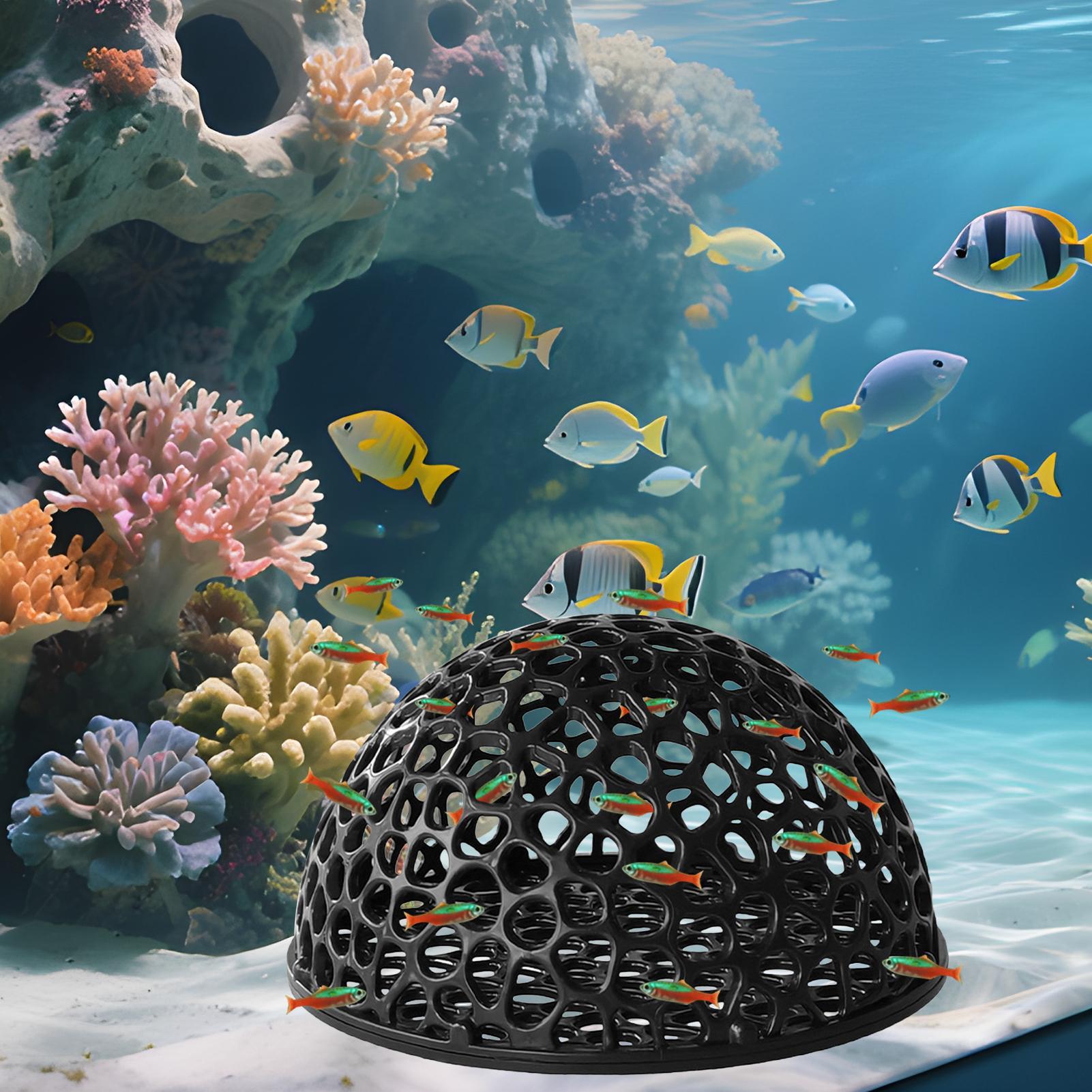 مأوى كهف مخفي لحوض السمك لتربي - مراجعة Aquarium Plant Live وسعره
