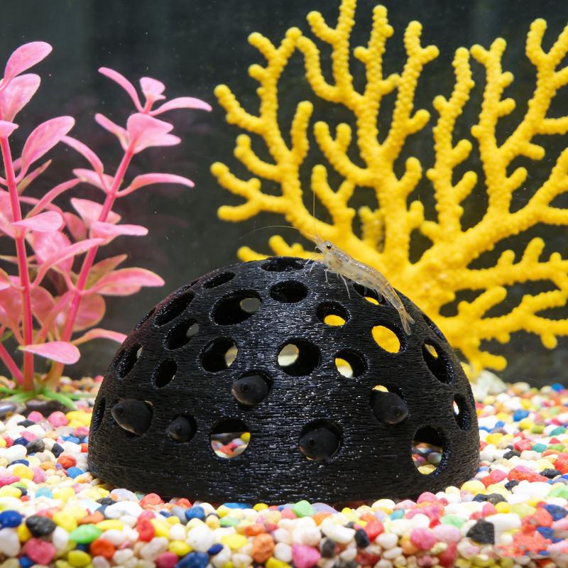 غرفة مخفية لحوض السمك للأسماك  - مراجعة Aquarium Plant Live وسعره
