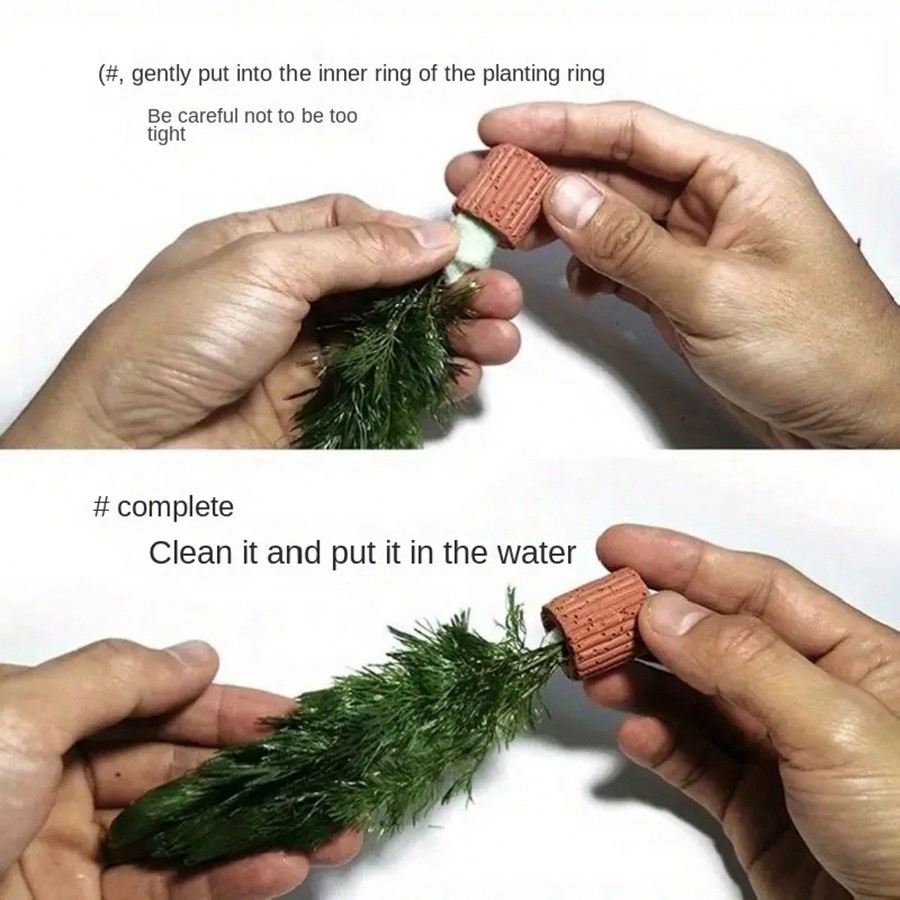 حلقات تثبيت نباتات حوض السمك ع - مراجعة Planted Aquarium Aquascape وسعره
