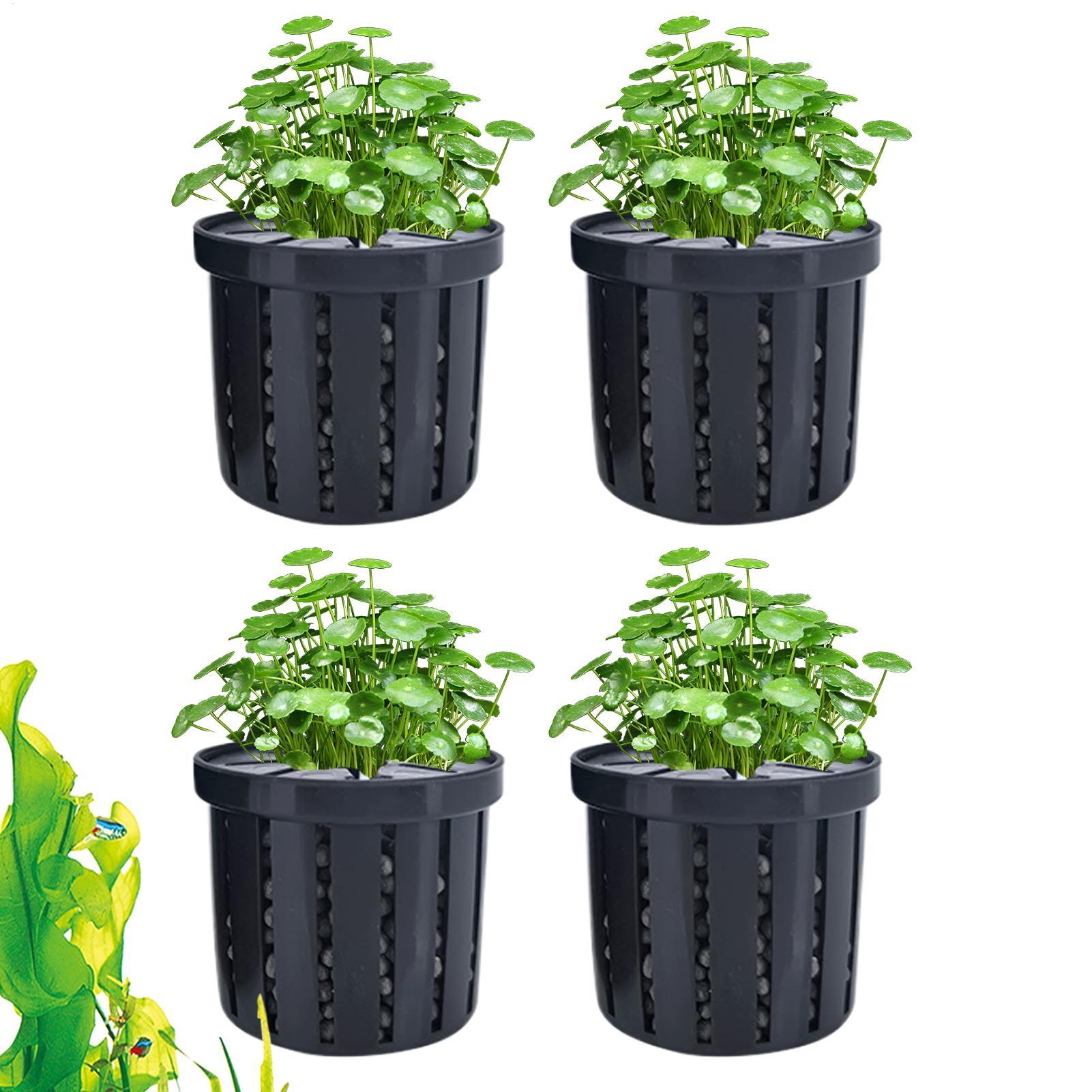 4 قطع من أواني الزراعة المائية - مراجعة Aquarium Plant Live وسعره