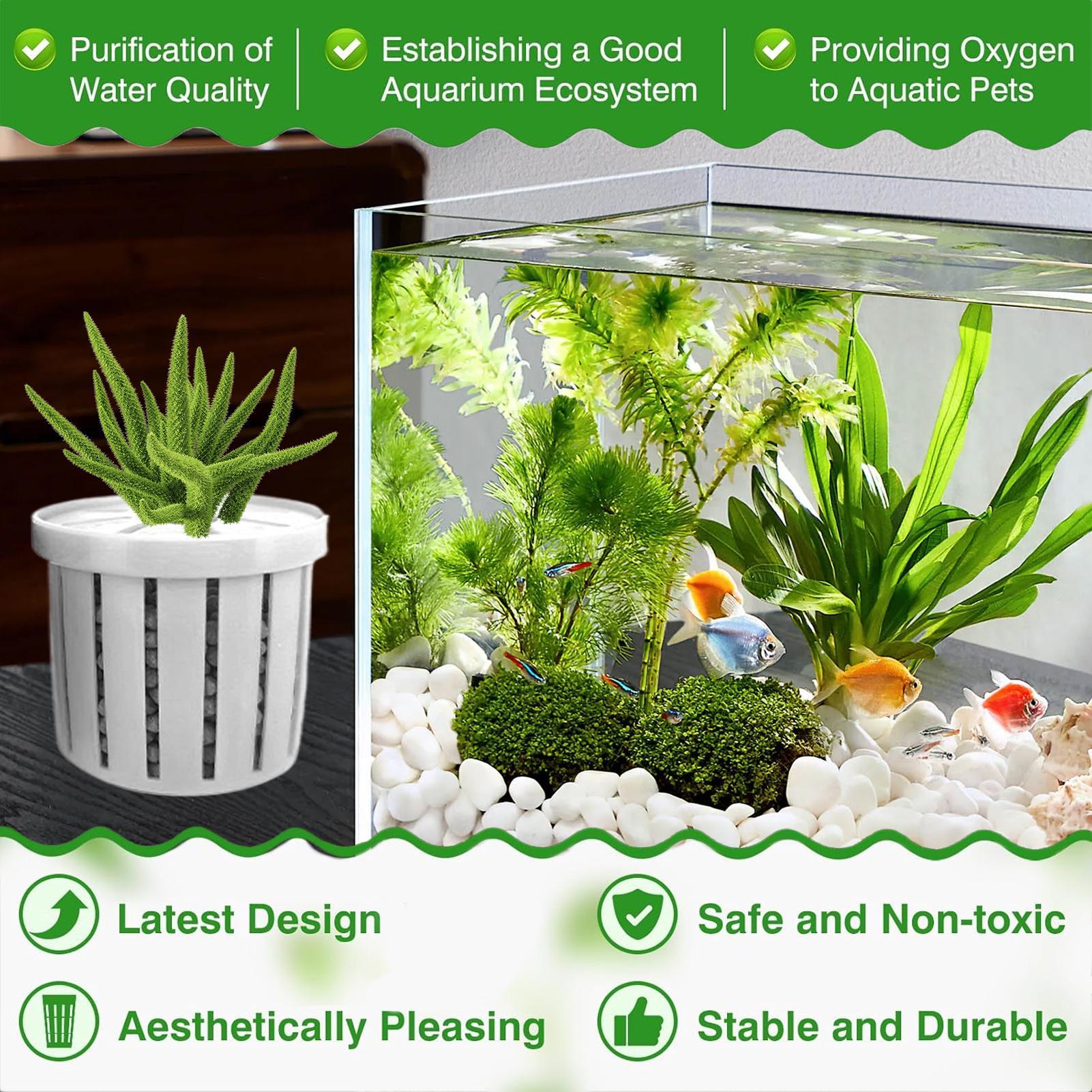 4 قطع من أواني الزراعة المائية - مراجعة Aquarium Plant Live وسعره