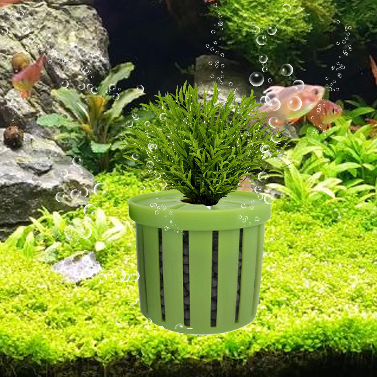 4 قطع من أواني الزراعة المائية - مراجعة Aquarium Plant Live وسعره