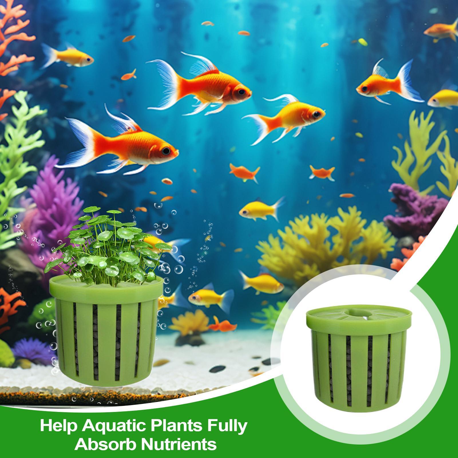 4 قطع من أواني الزراعة المائية - مراجعة Aquarium Plant Live وسعره