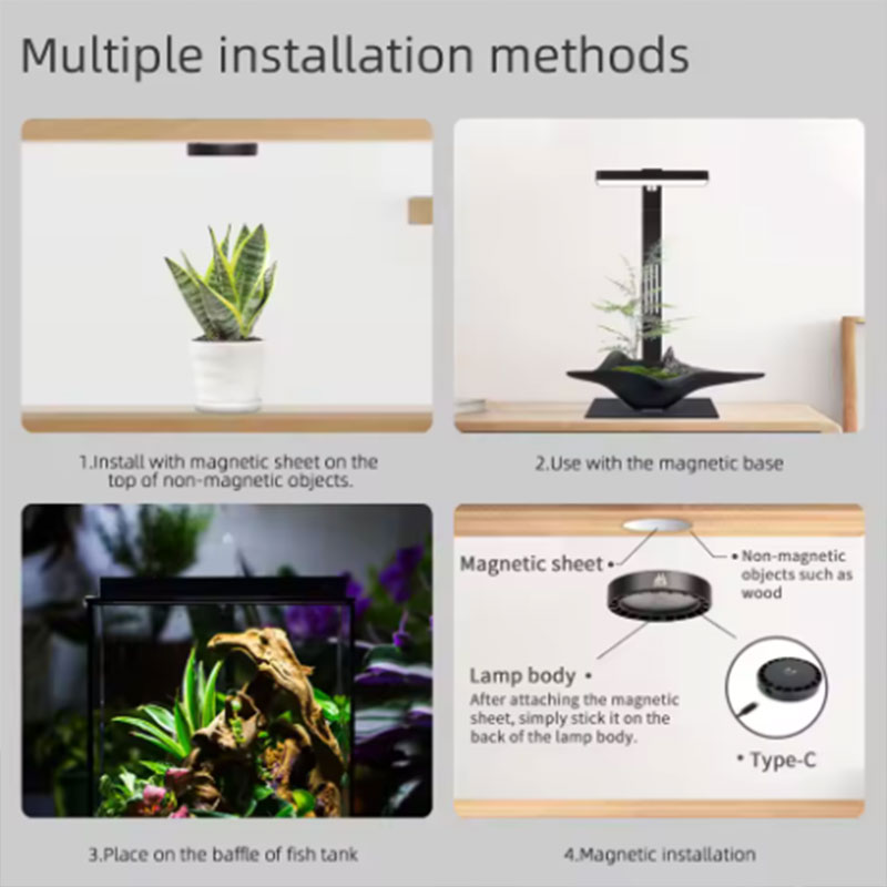 مصباح نمو النباتات WEEK AQUA M - مراجعة Planted Aquarium Aquascape وسعره