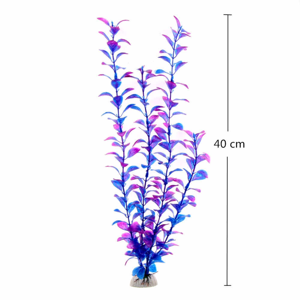 إكسسوارات حوض السمك، نباتات اص - مراجعة Aquarium Plant Live وسعره