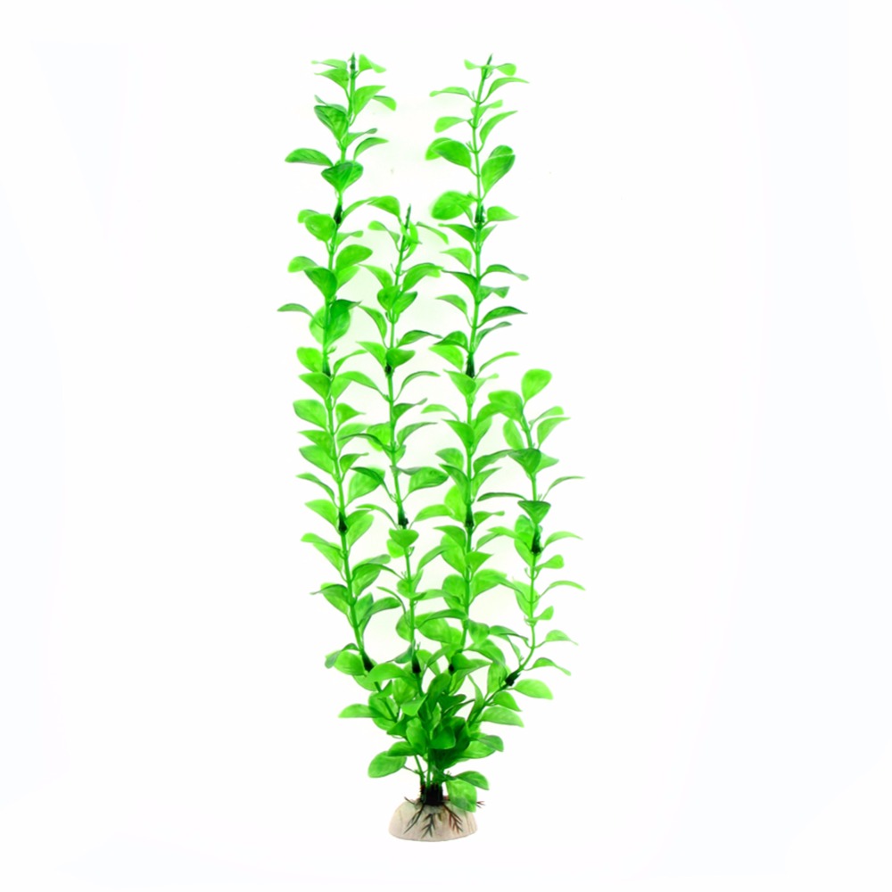 إكسسوارات حوض السمك، نباتات اص - مراجعة Aquarium Plant Live وسعره