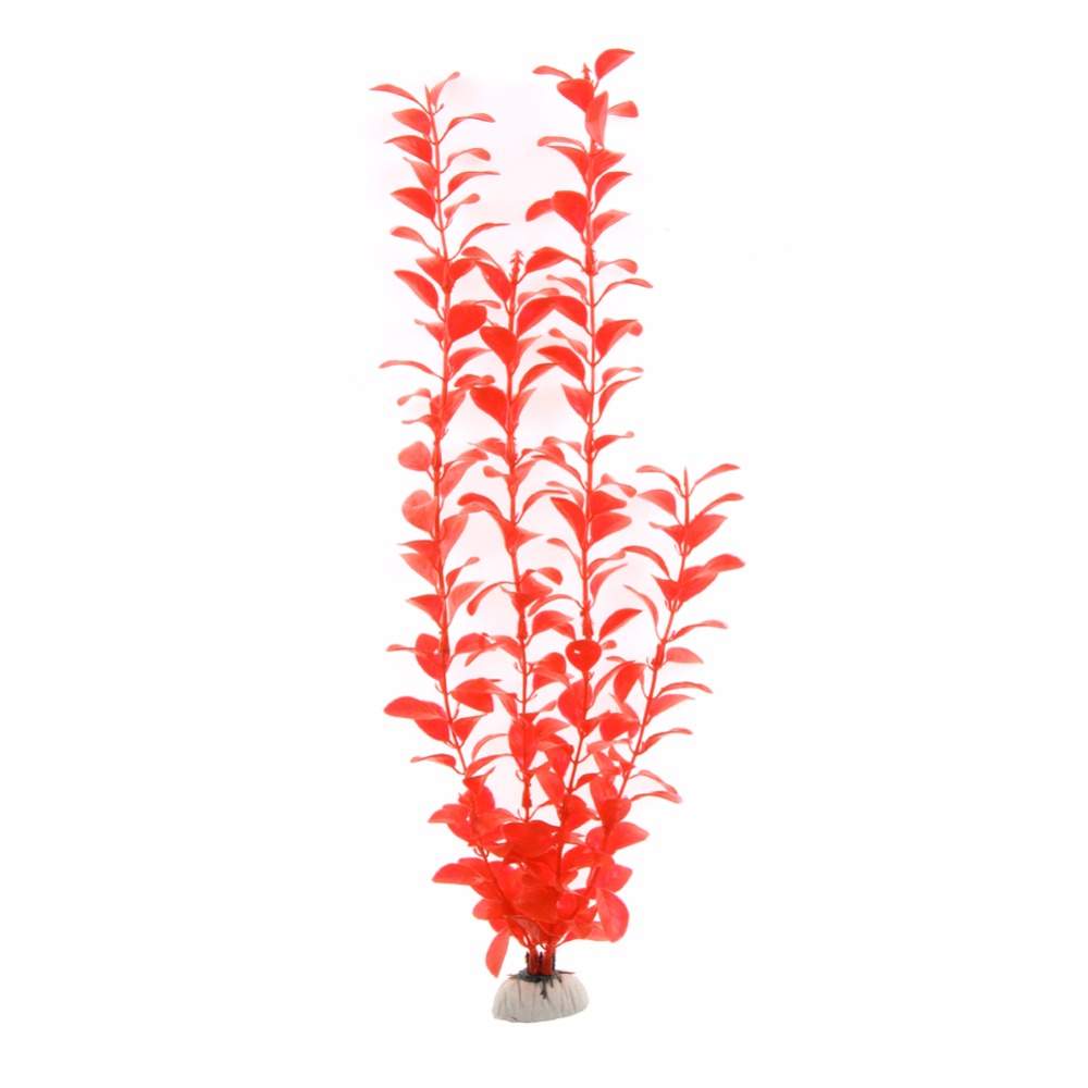 إكسسوارات حوض السمك، نباتات اص - مراجعة Aquarium Plant Live وسعره