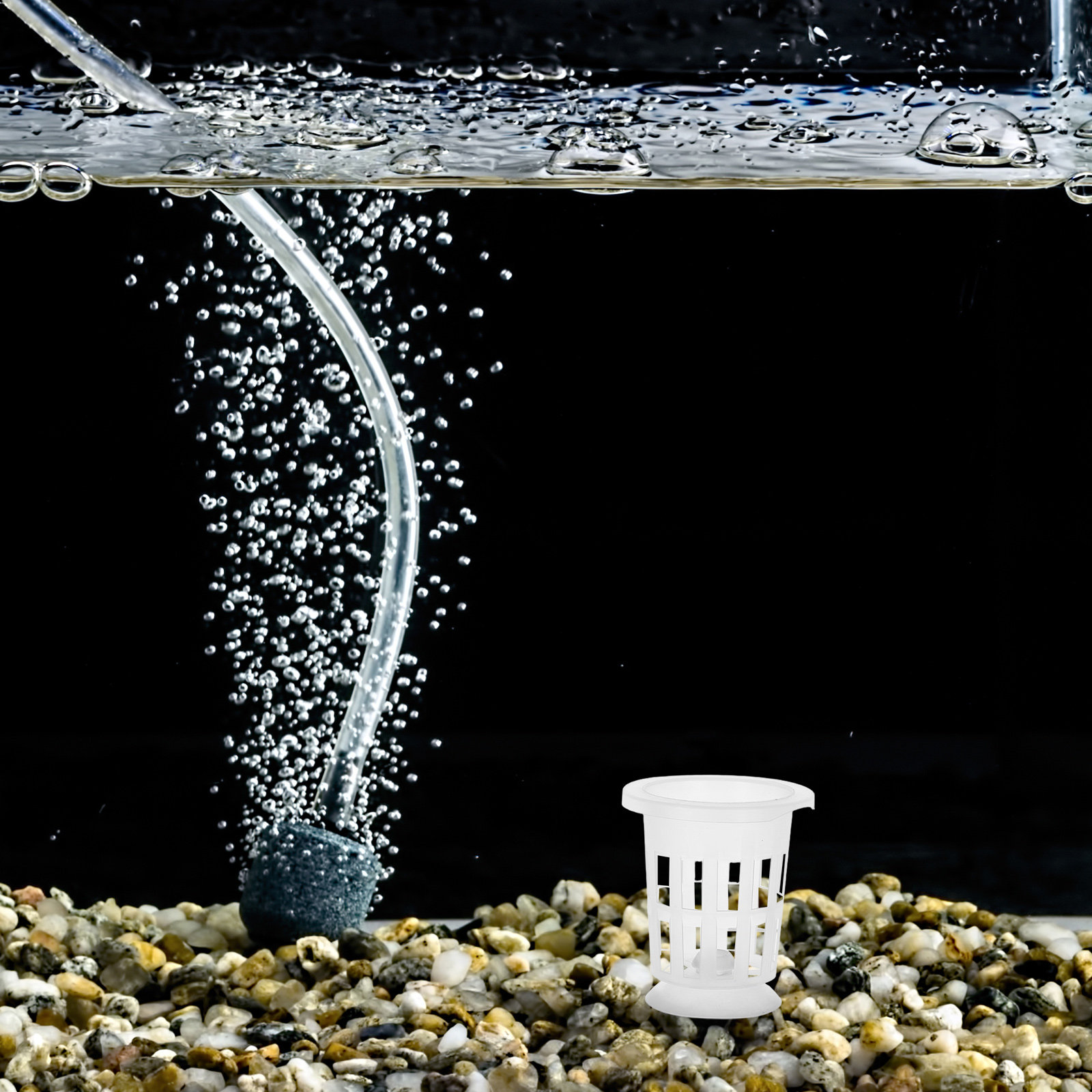 مجموعة واحدة من أوعية الزراعة  - مراجعة Aquarium Plant In Pot وسعره