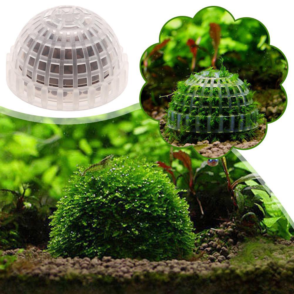 1/2/3/4/5 قطع نباتات زينة للأح - مراجعة Aquarium Planted Tank Filter وسعره