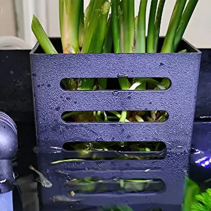 الحيوانات الأليفة خزان الأسماك - مراجعة Aquarium Plant Live وسعره