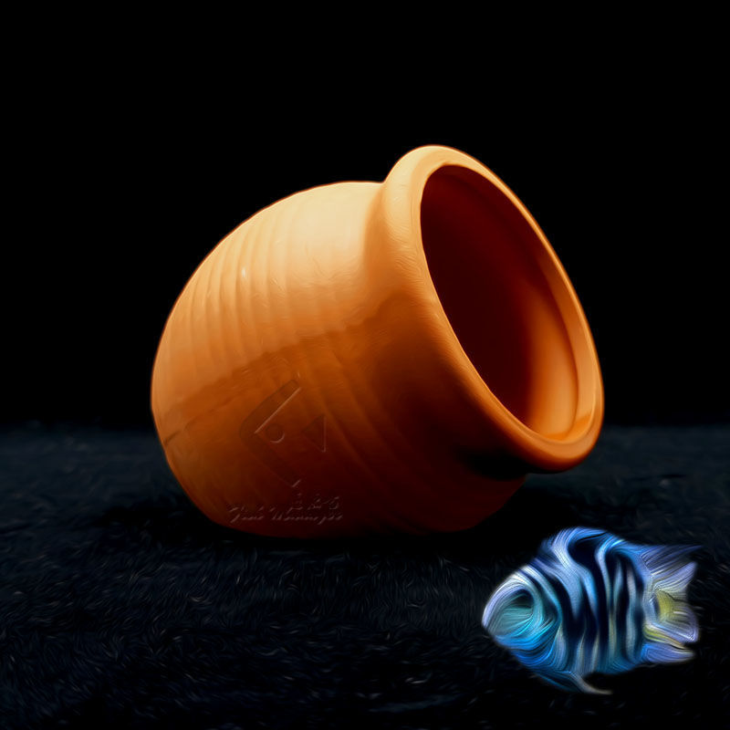 حوض السمك إصّيص سيراميك صغير ح - مراجعة Aquarium Plant Live وسعره