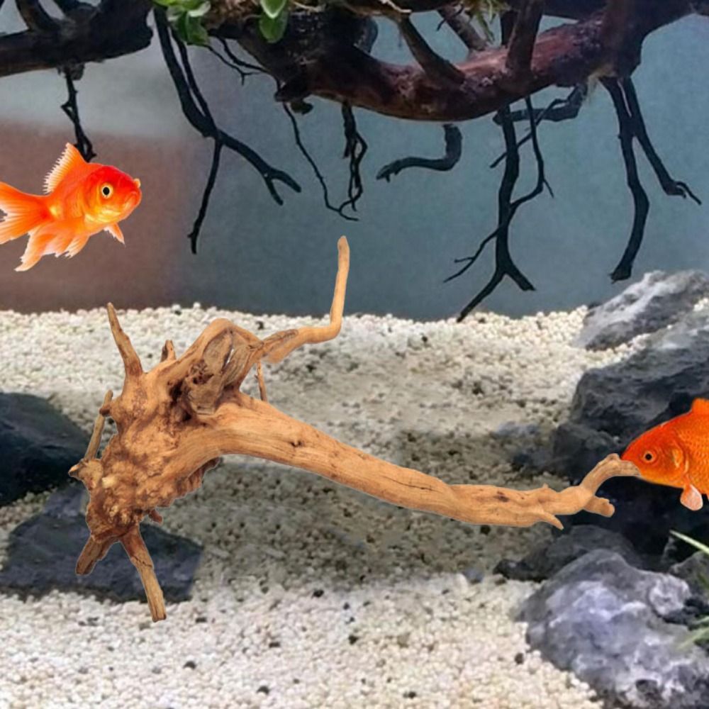 خشب عائم طبيعي كبير لحوض السمك - مراجعة Aquarium Planted Tree وسعره