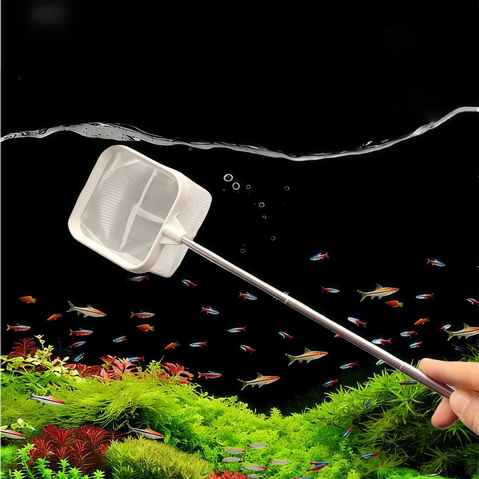أداة تنظيف مياه خارجية بمقبض ط - مراجعة Aquarium Planted Tree وسعره
