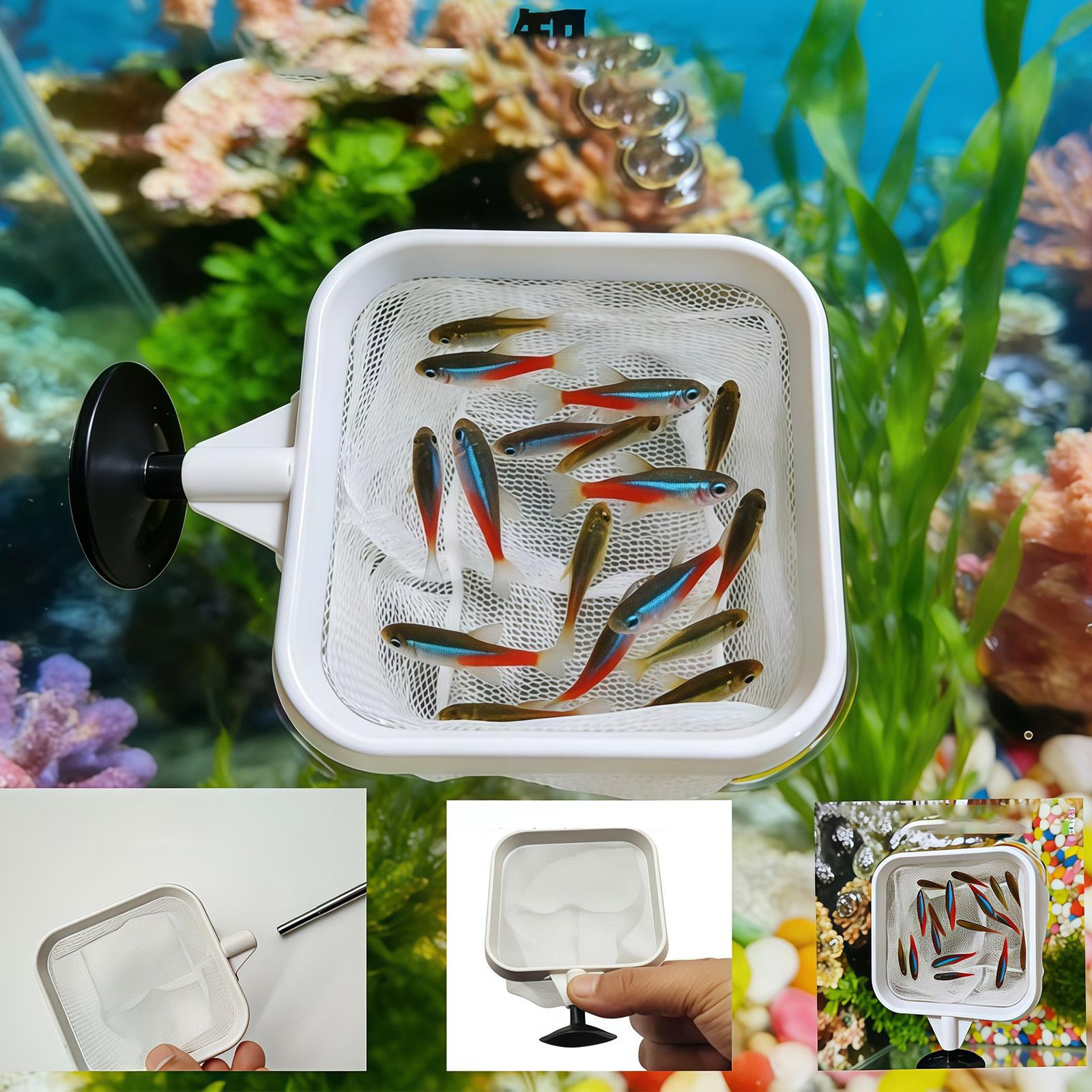 أداة تنظيف مياه خارجية بمقبض ط - مراجعة Aquarium Planted Tree وسعره