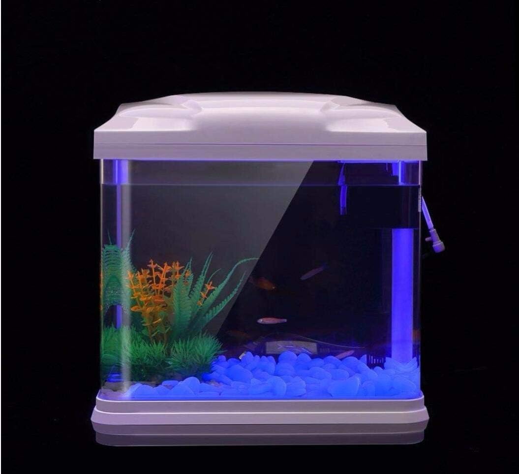حوض السمك الصخور توهج الحصى ال - مراجعة Aquarium Plant In Pot وسعره