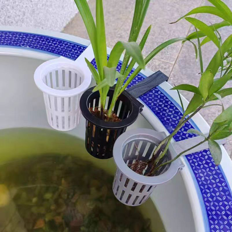 1/3 قطعة سلة نباتات حوض السمك  - مراجعة Aquarium Plant Live وسعره