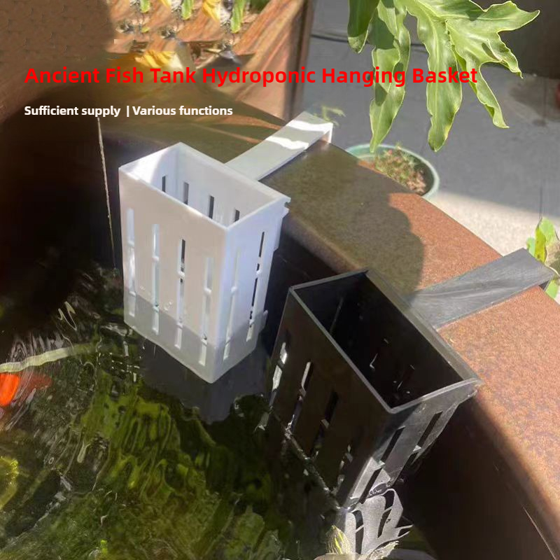 1/3 قطعة سلة نباتات حوض السمك  - مراجعة Aquarium Plant Live وسعره