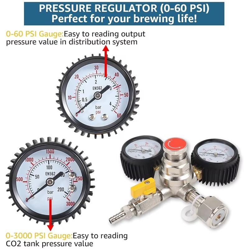 منظم ثاني أكسيد الكربون (CO2)  - مراجعة Co2 Regulator Dual Stage وسعره