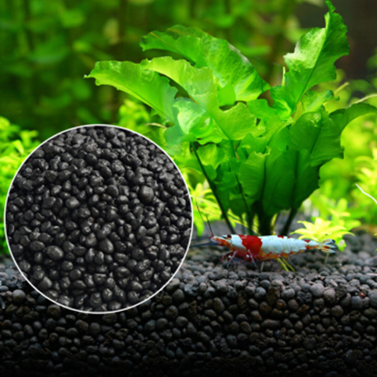 نباتات أحواض السمك ، التربة ،  - مراجعة Aquarium Plant In Pot وسعره