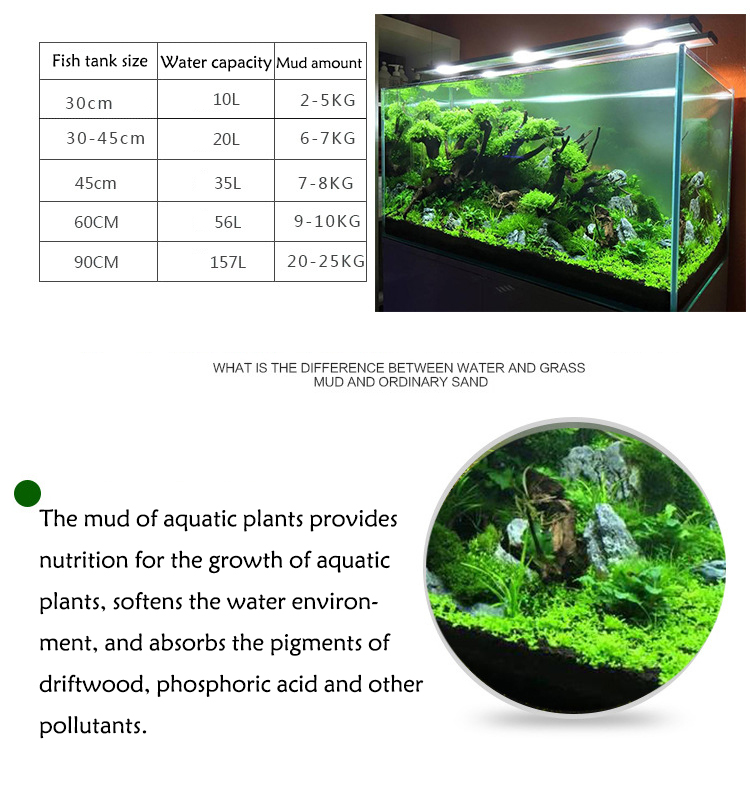 نباتات أحواض السمك ، التربة ،  - مراجعة Aquarium Plant In Pot وسعره